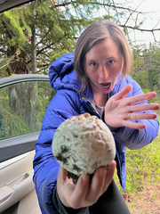 Calbovista subsculpta