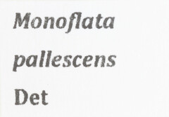 Monoflata pallescens