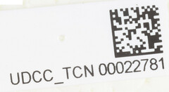 Pseudoflatoides tortrix