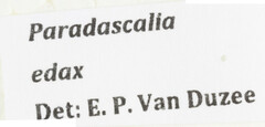 Paradascalia edax