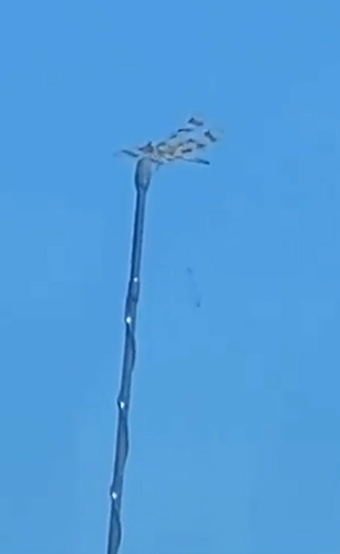 Halloween pennant