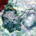 Star-shaped Limpet - Photo (c) uwkwaj, some rights reserved (CC BY-NC), uploaded by uwkwaj