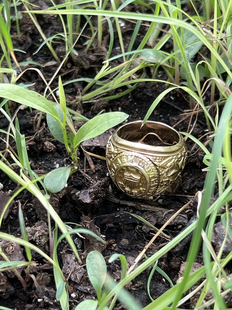 Swanflower from Lewis Ranch Rd, New Braunfels, TX, US on August 6, 2022