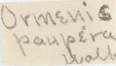 Ormenina paupera