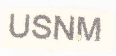 Neurotmeta sponsa