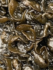 Psoraceae