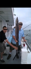 Conger oceanicus