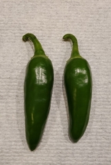 Capsicum annuum annuum