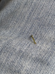 Lepidoptera