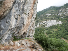 Petrocoptis glaucifolia