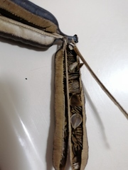 Aristolochia littoralis