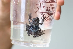 Theloderma stellatum