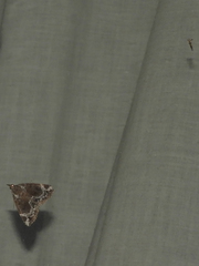 Hypena abalienalis