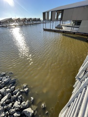 Heterosigma akashiwo