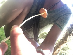 Conocybe apala