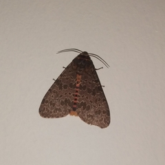 Olepa ricini