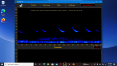 Myotis austroriparius