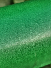 Tropiduchinae