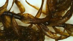 Warnstorfia fluitans