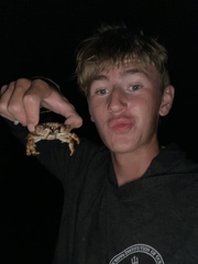 Juxtaxanthias intonsus