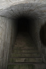 Leiobunum religiosum