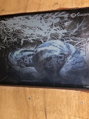 Owston's Palm Civet photo 4