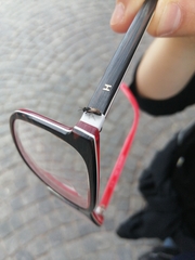 Hylaeus leptocephalus