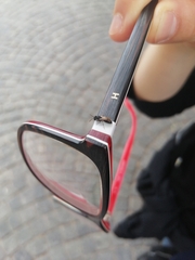 Hylaeus leptocephalus