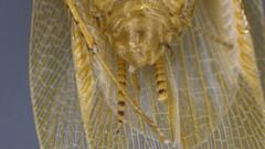 Neoblattellini