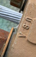 Philodromus spectabilis