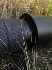 Cleistogenes squarrosa