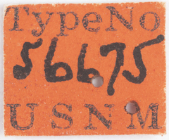 Melanoliarus opalinulus