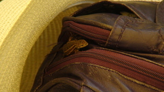 Sceloporus subniger