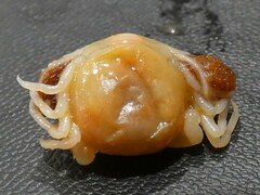 Pinnotheres hickmani