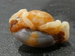 Pinnotheres hickmani