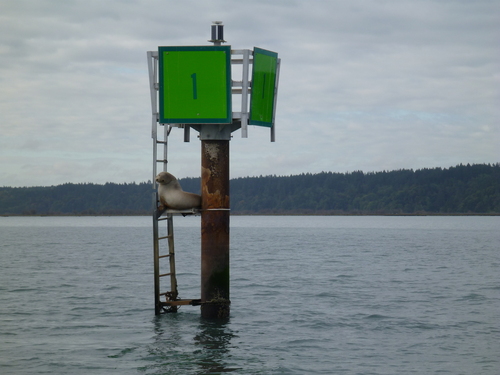 (c) Aquatic Reserves, some rights reserved (CC BY-NC)