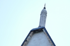 Ptyonoprogne rupestris