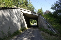 Leiobunum religiosum