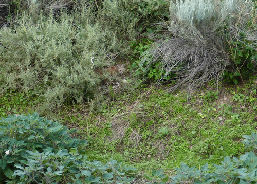 GWT - 023 - Sam Martin Trail