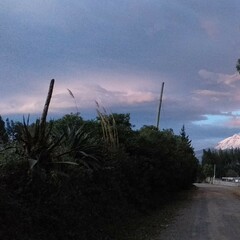 Agave cordillerensis