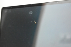 Opogona dimidiatella