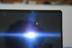 Opogona dimidiatella