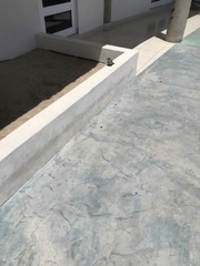 Campylorhynchus brunneicapillus