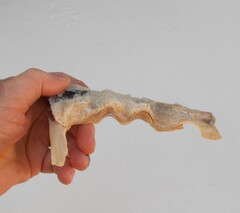 Malleus albus