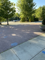 Sciurus carolinensis