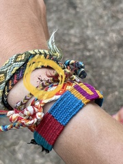 Leptoglossus occidentalis