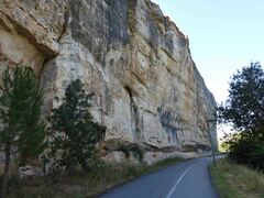 Ptyonoprogne rupestris