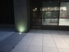 Parkesia noveboracensis