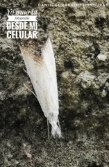 Haimbachia placidellus