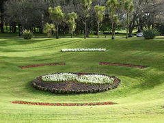 Carduelis carduelis britannica
